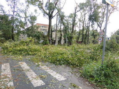 Ураган в Глазове, 18.07.2012