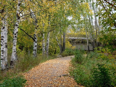 Заречный парк - осень