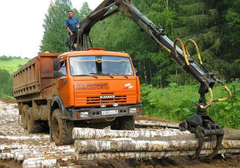 В Удмуртии дорогу Балезино-Сергино замостили березами