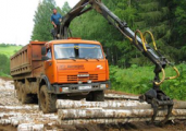 В Удмуртии дорогу Балезино-Сергино замостили березами