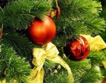 Продажа новогодних елок в Глазове начнется 25 декабря